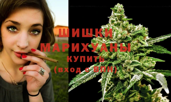 дурь Верхний Тагил