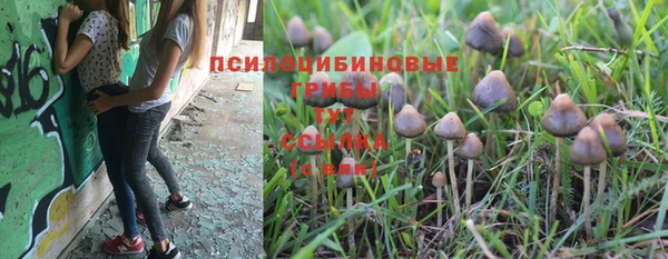 гидра Верхнеуральск